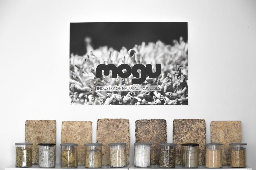 Das norditalienische Start-up Mogu setzt Pilz-Myzelien als Baustoff ein. Noch heuer erfolgt der Markteintritt mit schallabsorbierenden Paneelen und Bodenfliesen.  