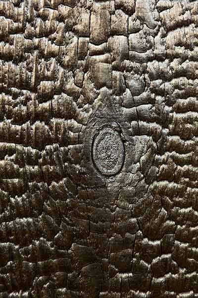 Rutted surface of Shou Sugi Ban wood