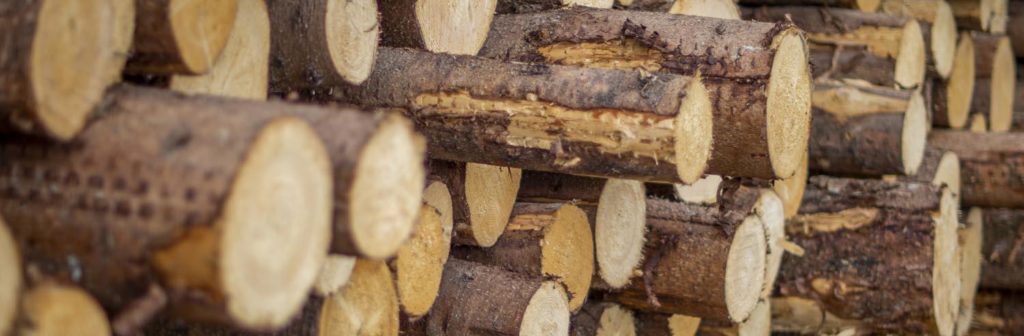 Wood - the building material of the future