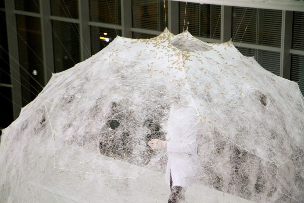 "Silk Pavilion": constructed by silkworms (Photo: Neri Oxman, Mediated Matter Group)