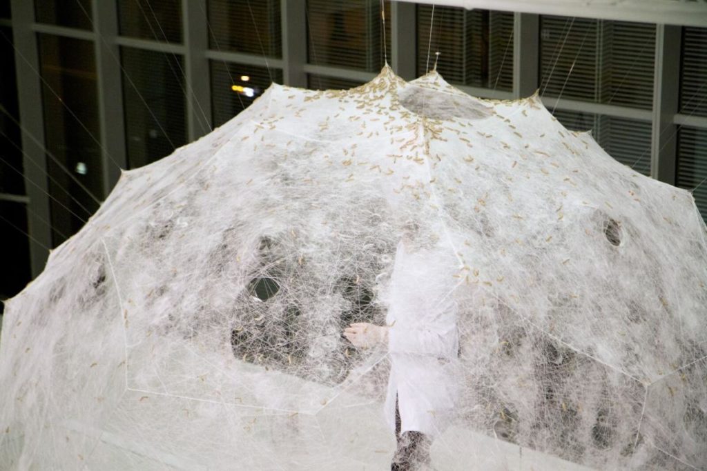 „Silk Pavilion“: Von Seidenwürmern an Ort und Stelle in einem hängenden Rahmen gebaut (Bild: Neri Oxman, Mediated Matter Group)