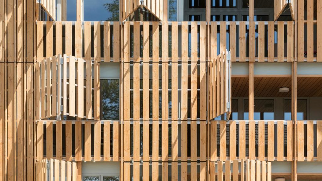 Lebendige Holzfassade des Mehrfamilienhauses Im Amt. (Foto: Beat Bühler)