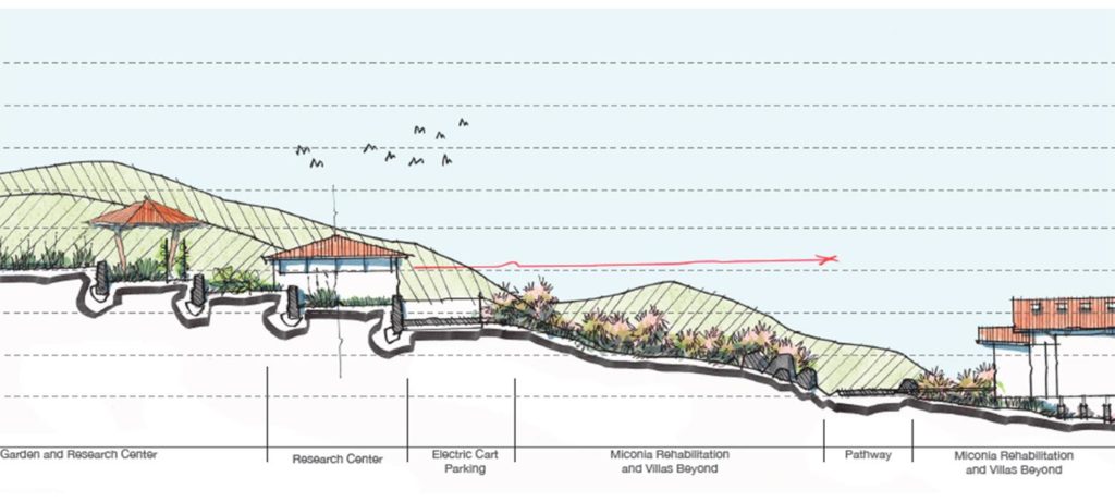 Wichtige Landschaftsarchitektur: Die ursprüngliche Vegetation des Hügels, auf dem das Resort entsteht, wird von eingeschleppten Arten bedroht. Spezielle Neubepflanzung soll das sensible Öko-System regenerieren. (Grafik: Hitesh Mehta)