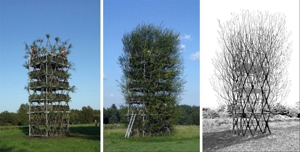 Die Entwicklung des baubotanischen Turms