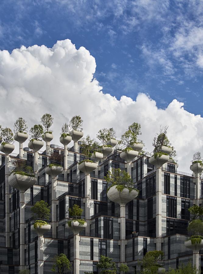 Bäume, die aus der Fassade gen Himmel wachsen... (Foto: Qingyan Zhu)