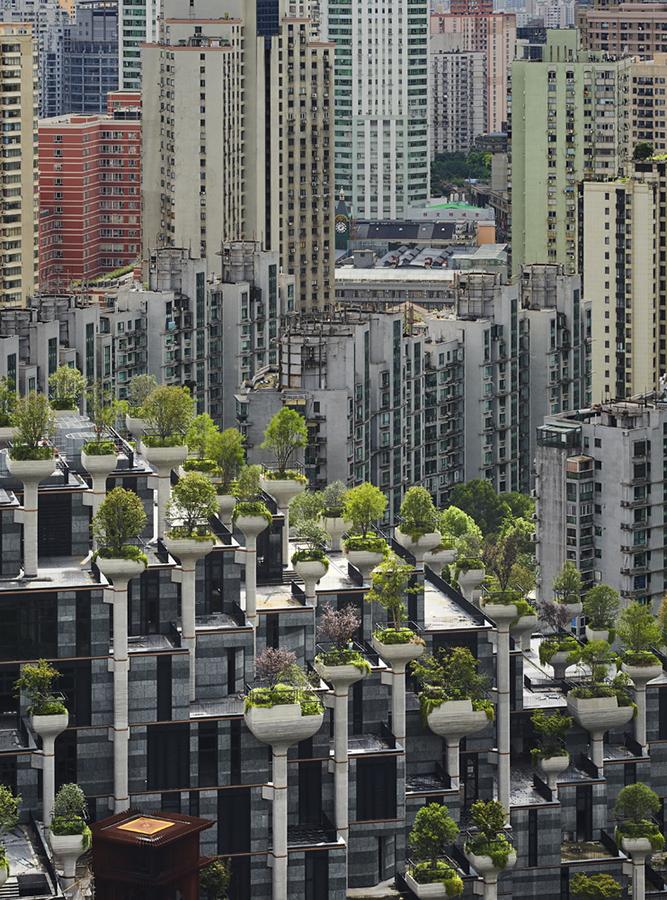 ..sollen eine Oase in die dicht besiedelte Zone setzen. (Foto: Qingyan Zhu)