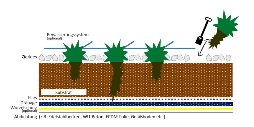 Baubegrünung, leicht gemacht. Konventionelle Begrünung braucht Substrat. (Bild: GKR)