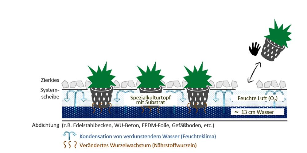 Baubegrünung, leicht gemacht: „Hydro Profi Line“-Begrünung: Leichter und wartungsarm. (Bild: GKR)