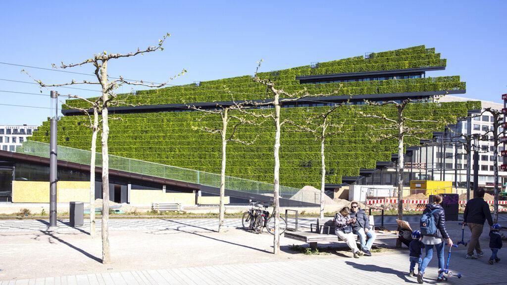 Grün, grüner, „Kö-Bogen 2“! Schon vorm Bau-Finale ein Anziehungspunkt: Die 30.000 Hainbuchen des Neubaus.(Bild: CENTRUM Gruppe)