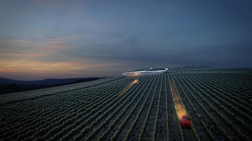 In Tokaj macht ein Weingut Augen (Bild: Homologue / Zoltán Ölbey)