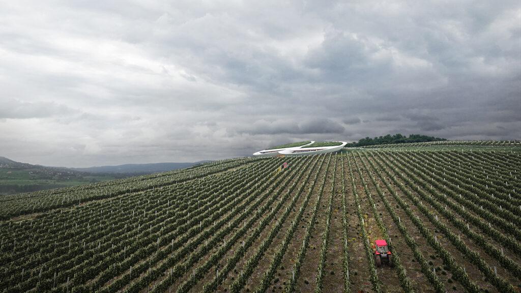 In Tokaj macht ein Weingut Augen. (Bild: Homologue / Zoltán Ölbey)