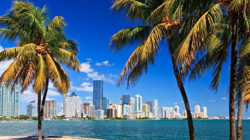 Blick auf Miami Skyline von Indian Creek aus