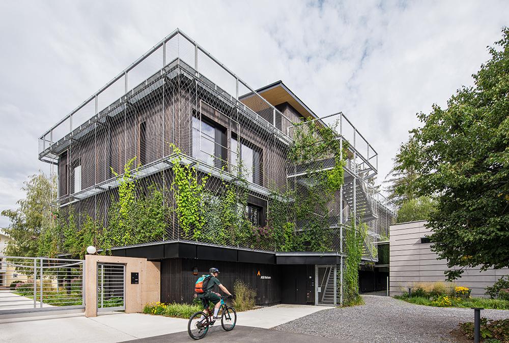 Snøhetta erfüllt Tiroler Büro-Traum. Das Metallgerüst vor der Holzfassade trägt Kletterpflanzen, die vor extremer Sonneneinstrahlung schützen. (Bild: Christian Flatscher)