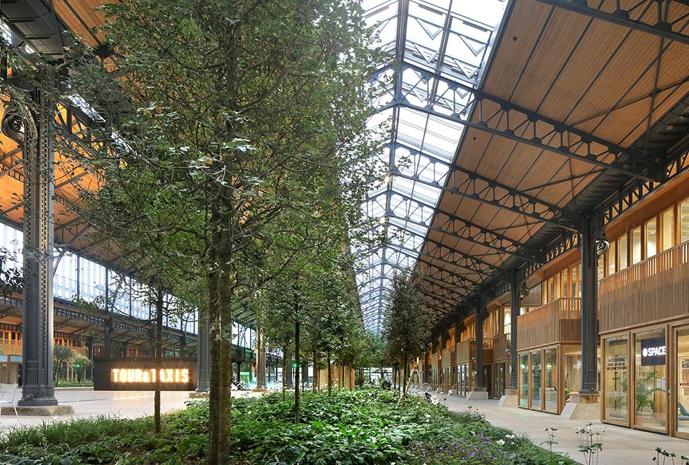 Gare Maritime glänzt ganz in Holz. (Bild: Filip Dujardin © Neutelings Riedijk Architects)