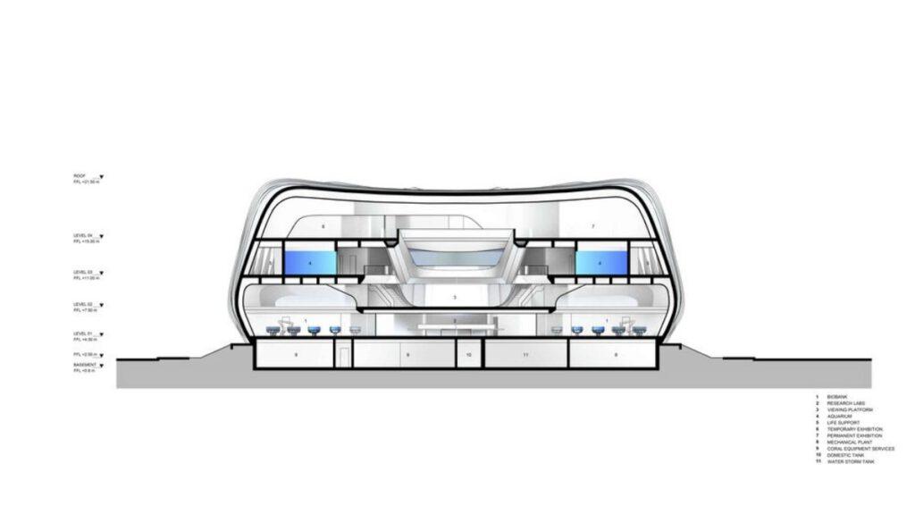 Querschnitt Korallen-Biobank