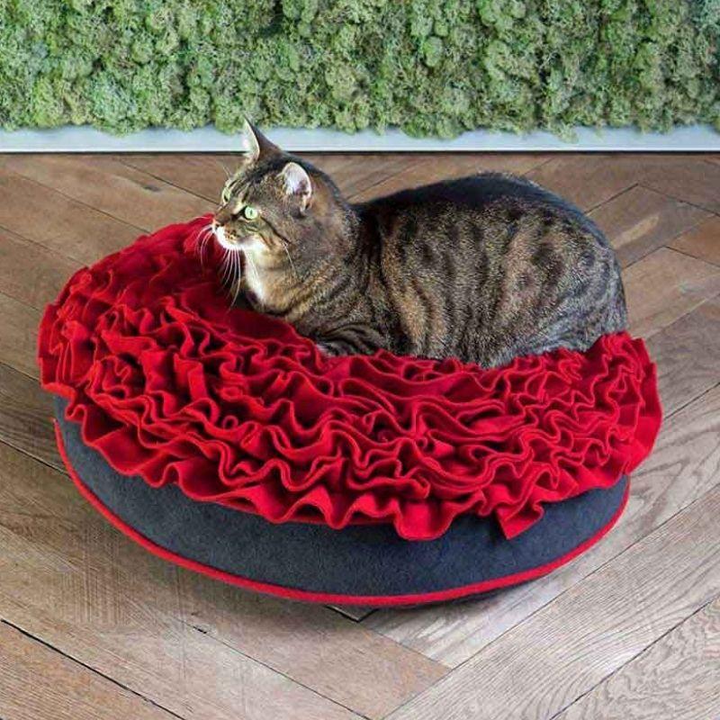 Katze liegt wie auf Rosen gebettet