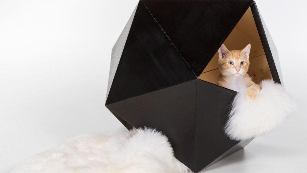 Schutz für Streunerkatzen, von Designern entworfen