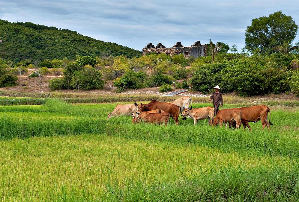 Grüner Hoteltraum „Vietnam-Style“. (Bild: Zannier Hotels)