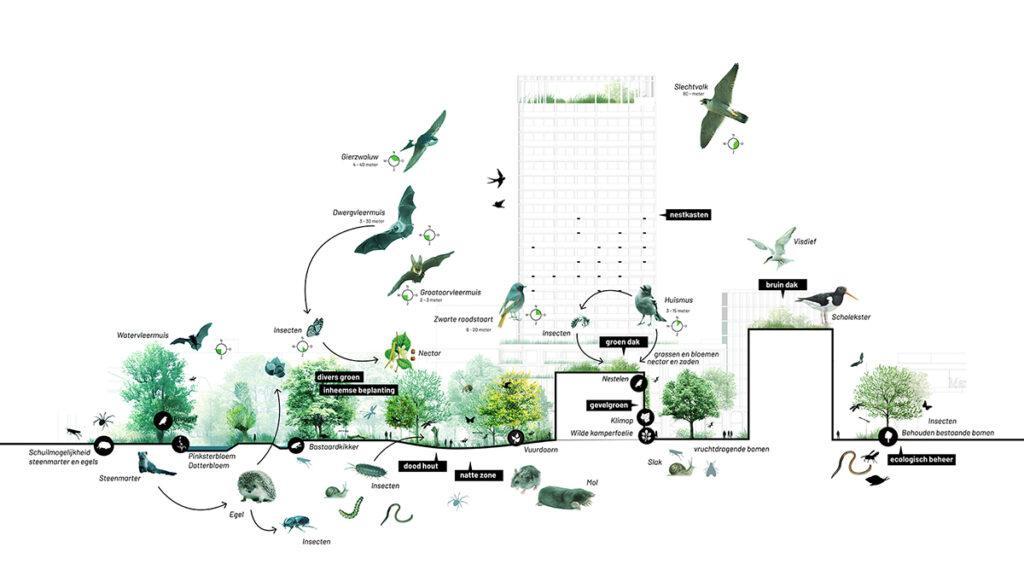 Das Projekt HOLT in Groningen führt Stadt und Natur zusammen. (Bild: Powerhouse Company)