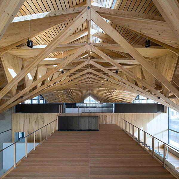 Ceiling, Synegic, Uenoa, Japan