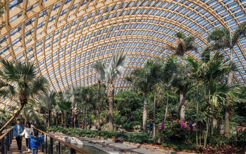 Greenhouse with tropical plants