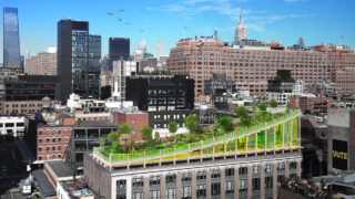 Ein Biotop über Manhattan (Bild: 3deluxe)