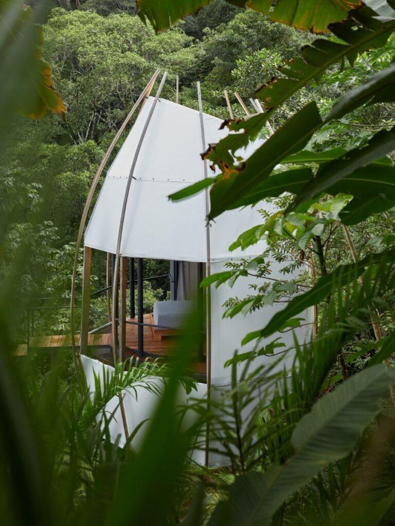 Coco Villas: Unmittelbar in den Dschungel hineindrapiert