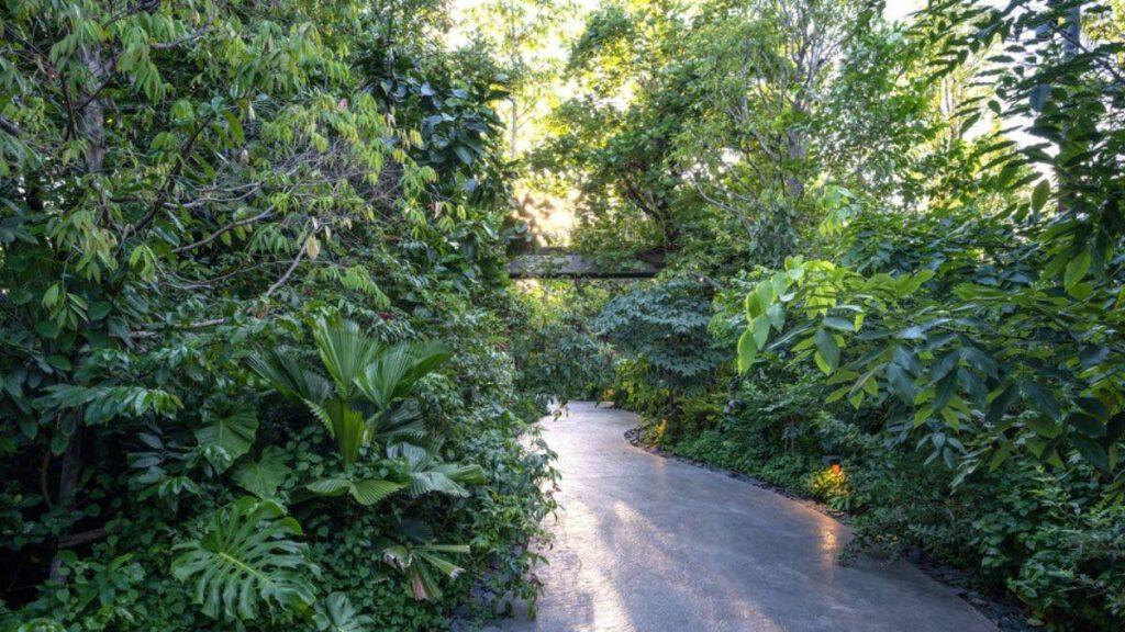 Urban living with a forest