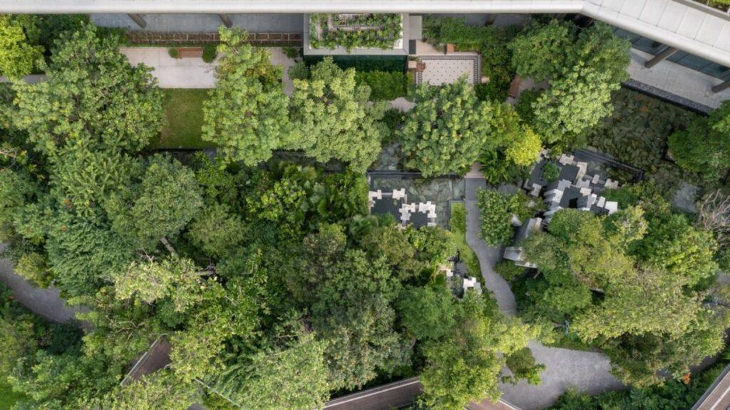 Foster + Partners holen den Wald in die Stadt. Denn Hauptakteur im The Forestias ist der 48.000 m2 große Wald