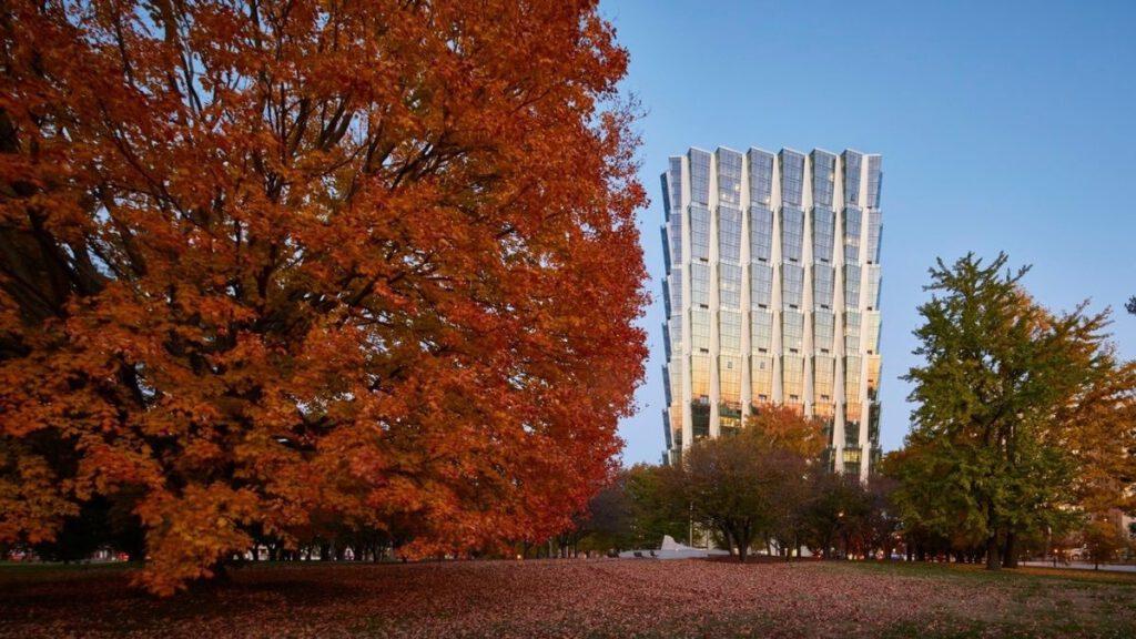 View of the new, modern building from Forest Park.