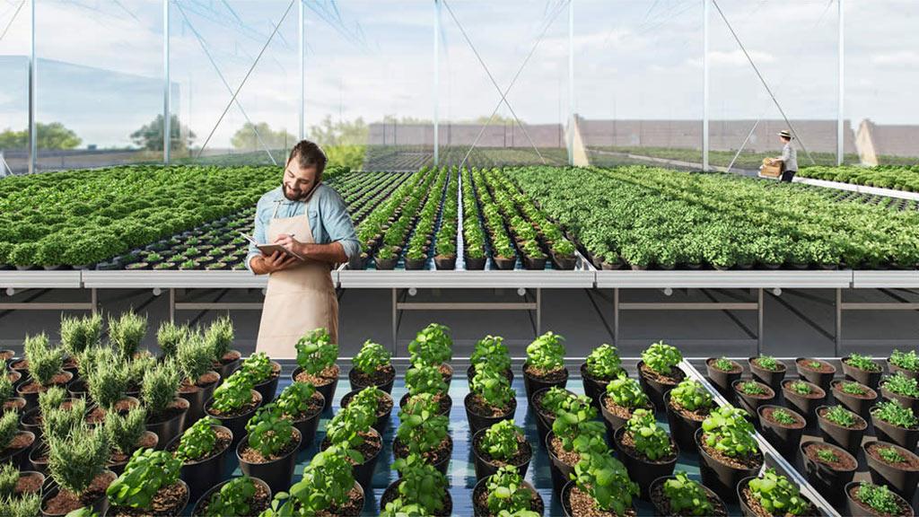 Rooftop greenhouse, we-house, baakenhafen, hamburg