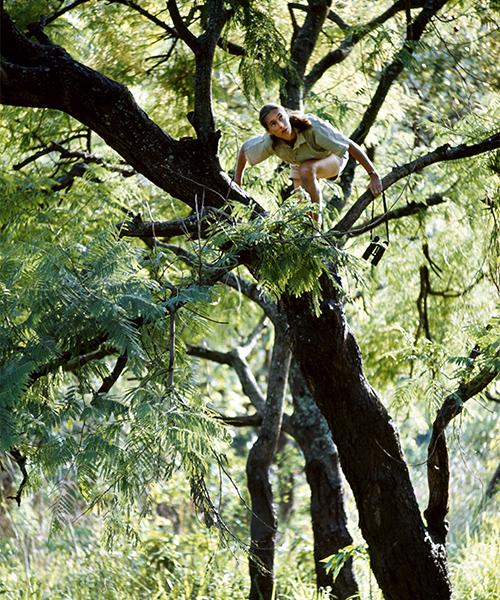 Seit Jahrzehnten für Arten- und Umweltschutz engagiert: Dr. Jane Goodall. (Bild: Jane Goodall Institute)