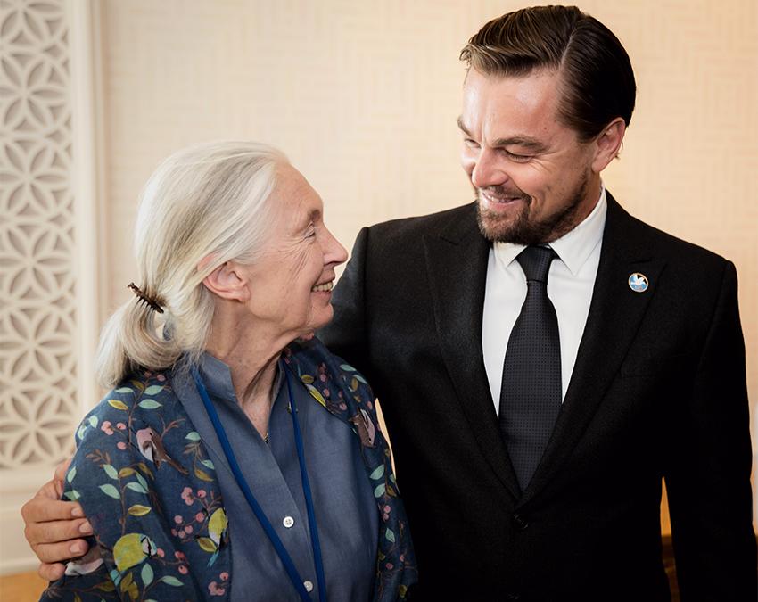 Jane Goodalls unermüdlicher Kampf gegen den Klimawandel hat viele prominente Unterstützer. Zum Beispiel Oscar-Preisträger Leonardo di Caprio. (Bild: Giles Clarke/Getty Images)