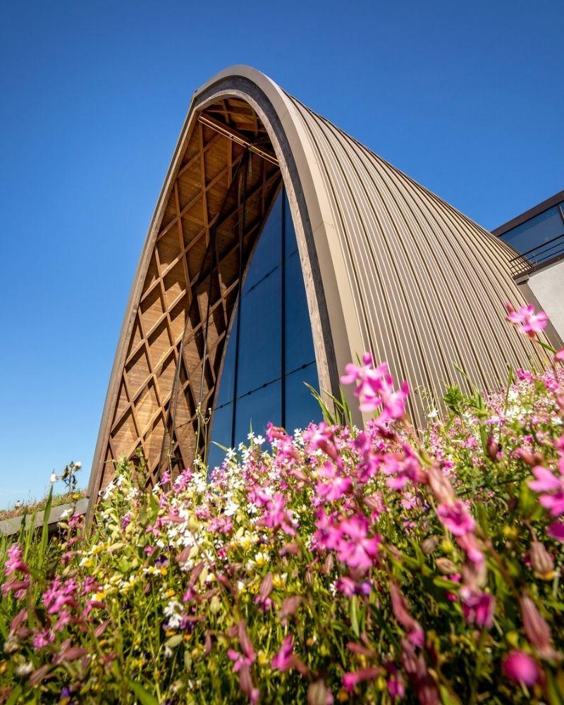 New wine cellar resembles a church nave