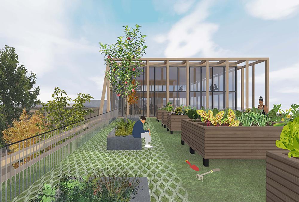 Dachgärten, Gemeinschaftsräume und ein eigener kleiner Wald: Das von Marc Koehler Architects und ANA Architects designte Projekt „Robin Wood“. (Bild: Marc Koehler Architects)