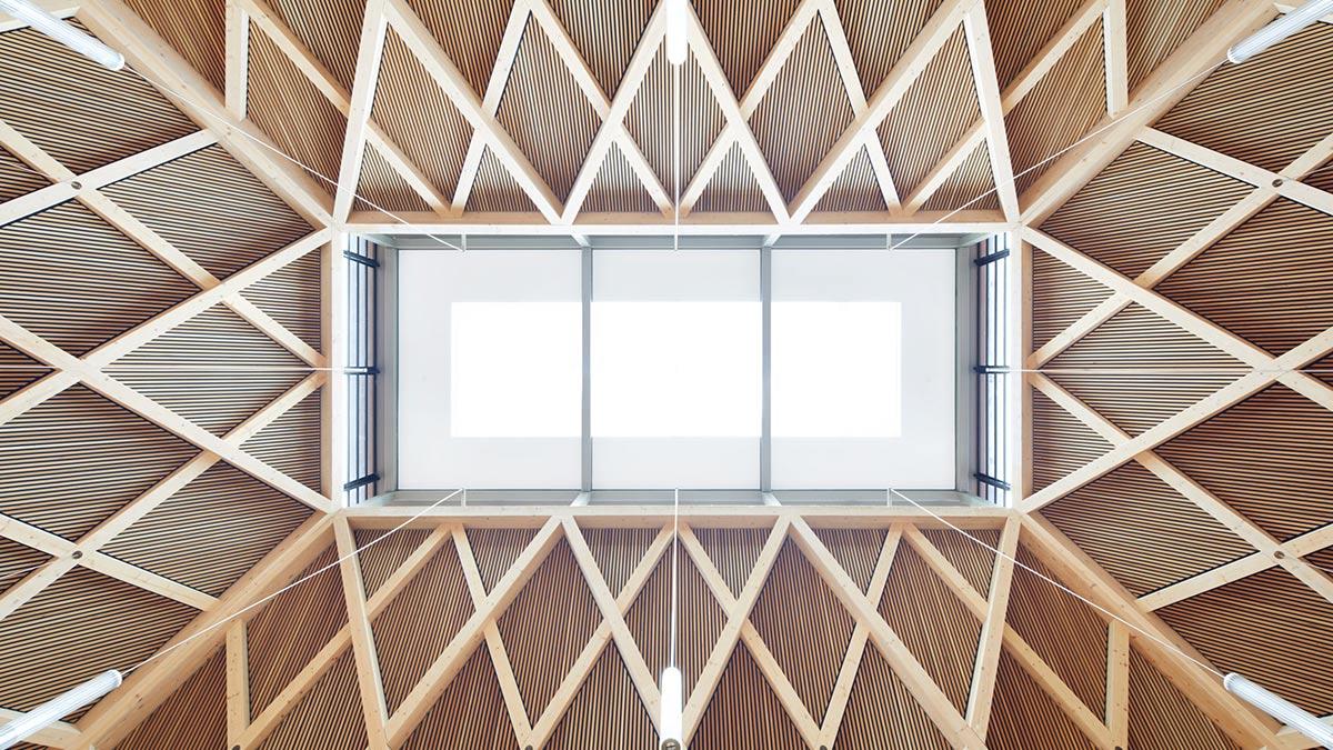 Roof, Refectory, Ibstock Place School, Maccreanor Lavington