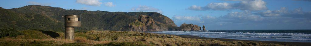 North Piha Beach