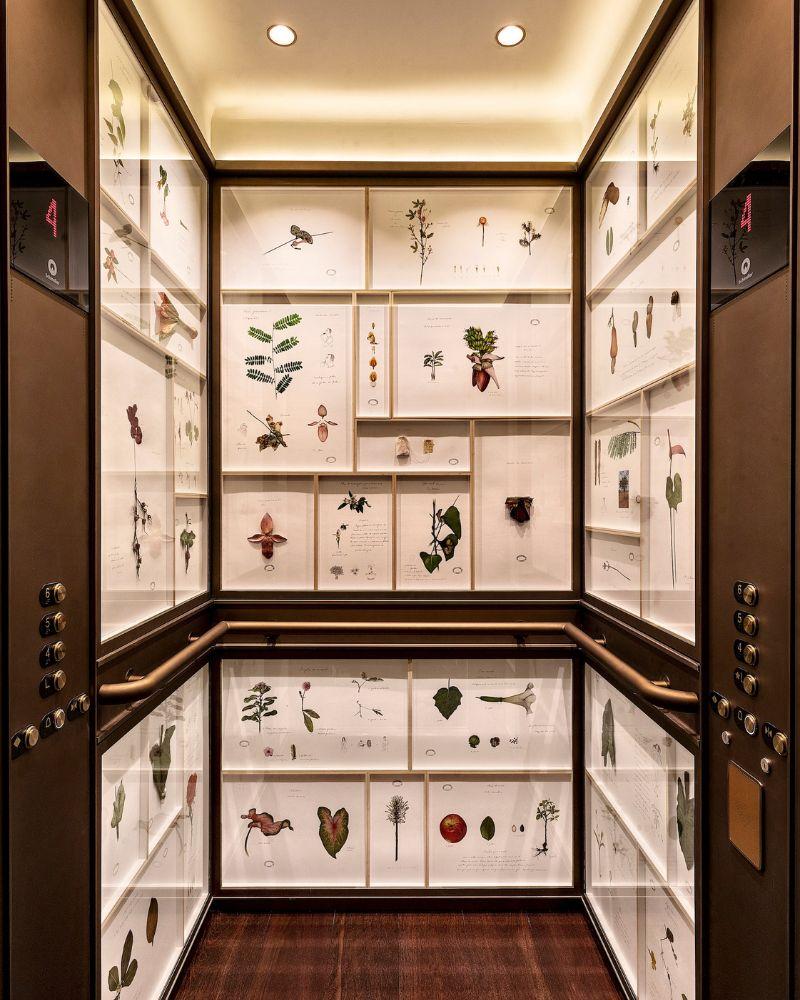 In den Korridoren des Rosewood lädt die Serie „Etnografia da Flora Mágica Brasileira” von Walmor Correa ein, stehen zu bleiben und jedes Bild genau zu betrachten