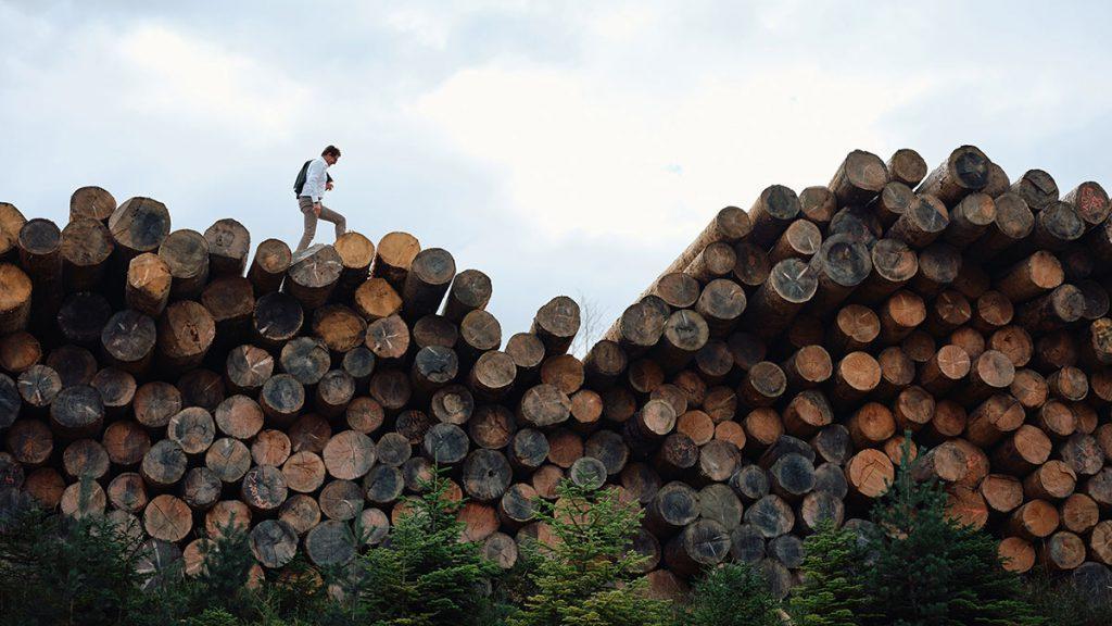 „Wir sind der First Mover im Holzbau“