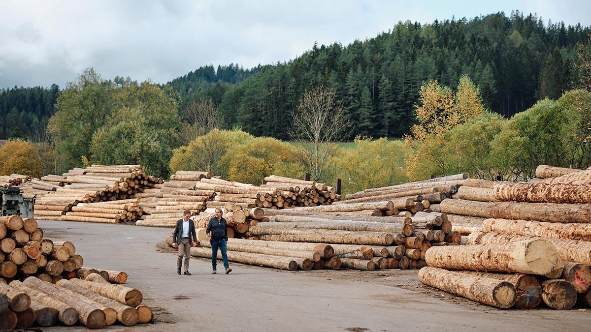 Sägewerk, Bernhard Egert, Leiter Timber Construction, UBM Development, Philipp Horak