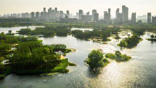 Fish Tail Park in Nanchang, im Überschwemmungsgebiet des Jangtse-Flusses in Ost-Zentral-China