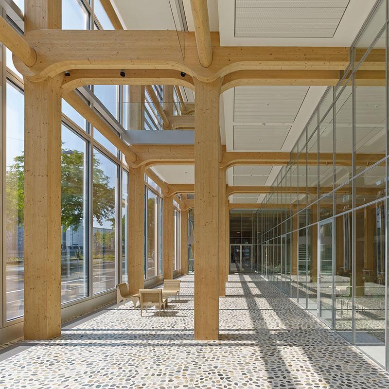 Foyer, Tamedia, Zürich, Holzbau, Shigeru Ban