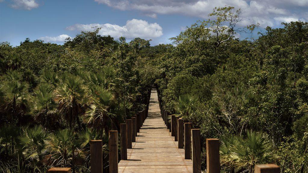 Auf dem Weg zu regenerativem Tourismus: Die von Frida Escobedo designte Anlage „Boca de Agua“ an Mexikos Laguna de los Siete Colores. (Bild: Frida Escobeo / Boca de Agua)