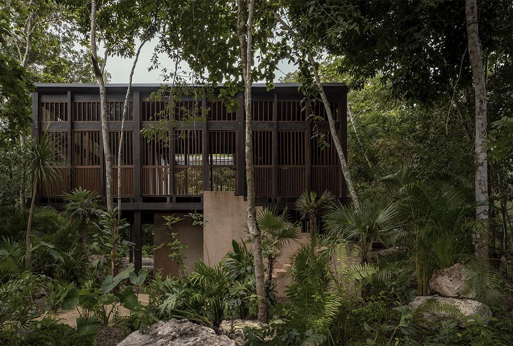 Das neue, von Frida Escobedo designte „Baumhaus-Hotel“ in Mexico. (Bild: Boca de Agua)