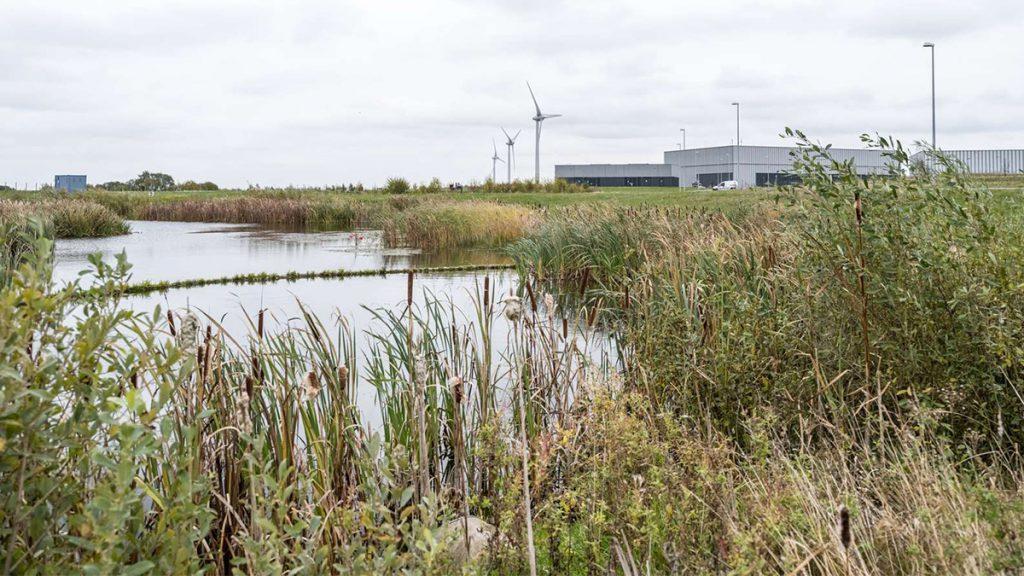 Viel Grün, neue Lebensräume und Artenvielfalt: Die von SLA gestaltete Landschaft des neuen ESS Forschungscampus. (Bild: Rasmus Hjortshøj)