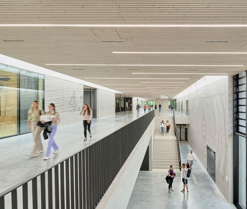 Rue interieur, TUM Campus, TUM School of Medicine and Health, München, Olympiapark, Dietrich Untertrifaller, Holzbau
