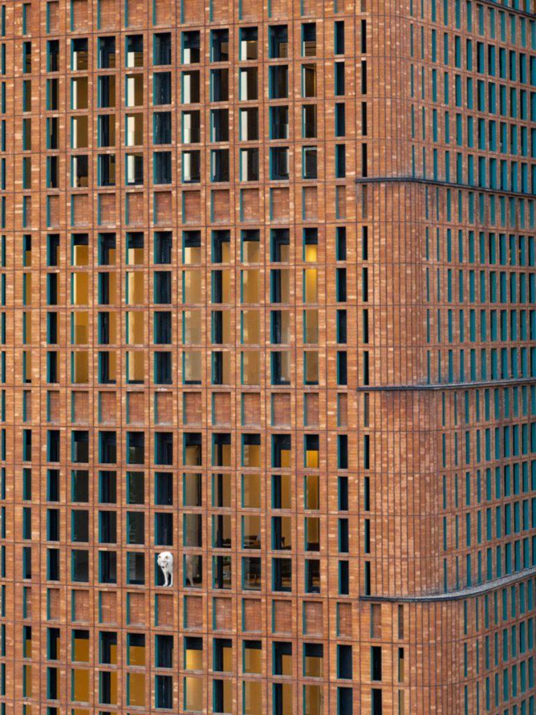 Die Fassade des Gebäudes besteht aus gestaffelten Ziegelschichten Die Stürze markieren die Geschoßflächen