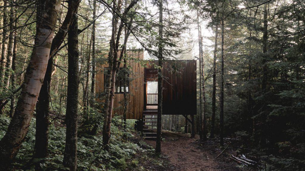 Waldhütte Shelter Territoire Charlevoix 