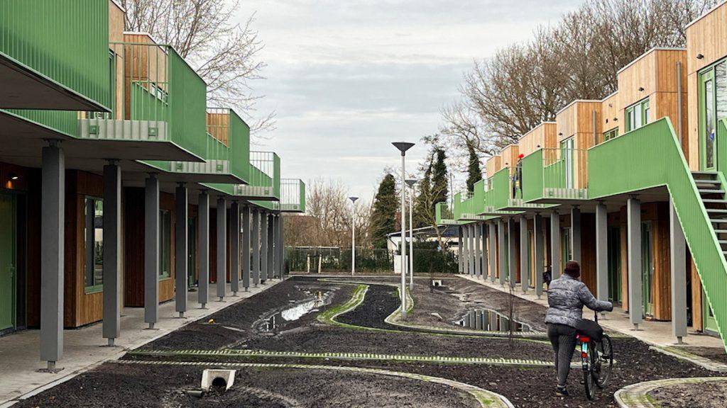 Terrasse, Veranda, Moos, Concrete, Projekt Maasland