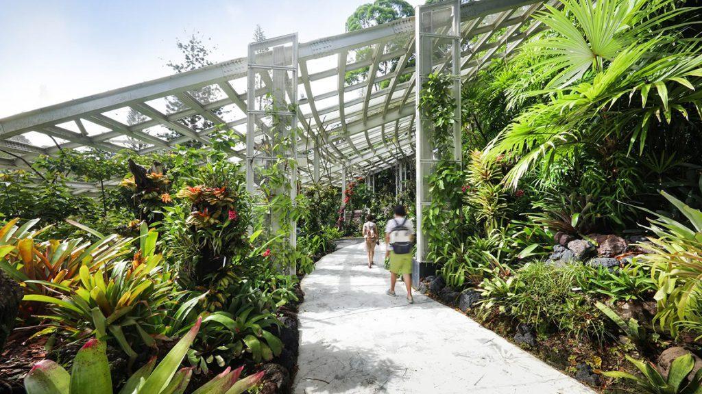 National Orchid Garden